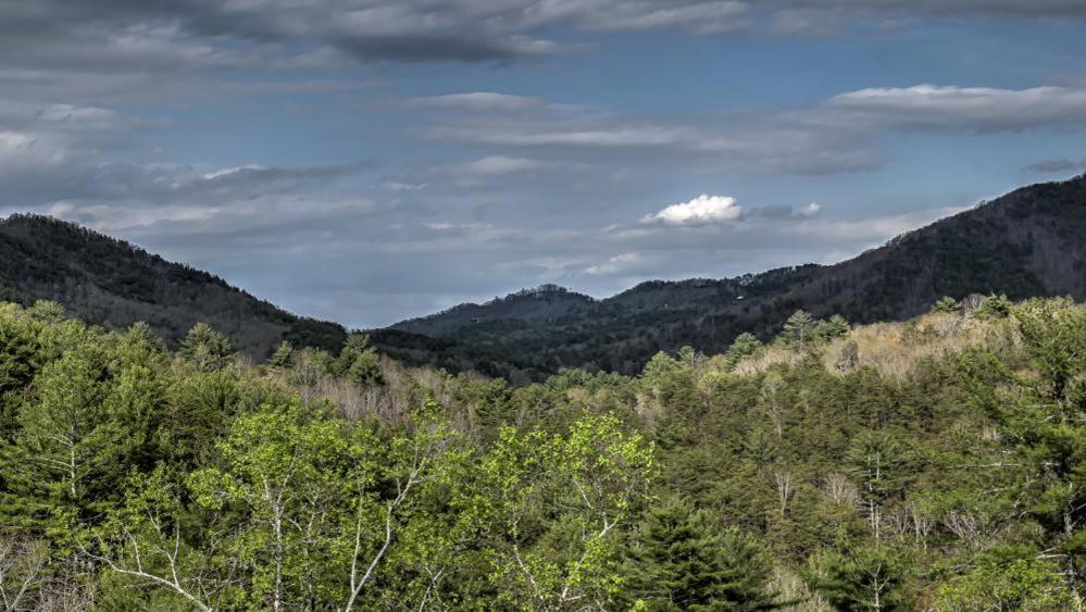 Honey Bear Lodge Blue Ridge Exterior foto